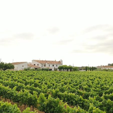 Villa Soul Farm Mas Els Igols Torrelles de Foix Exterior foto